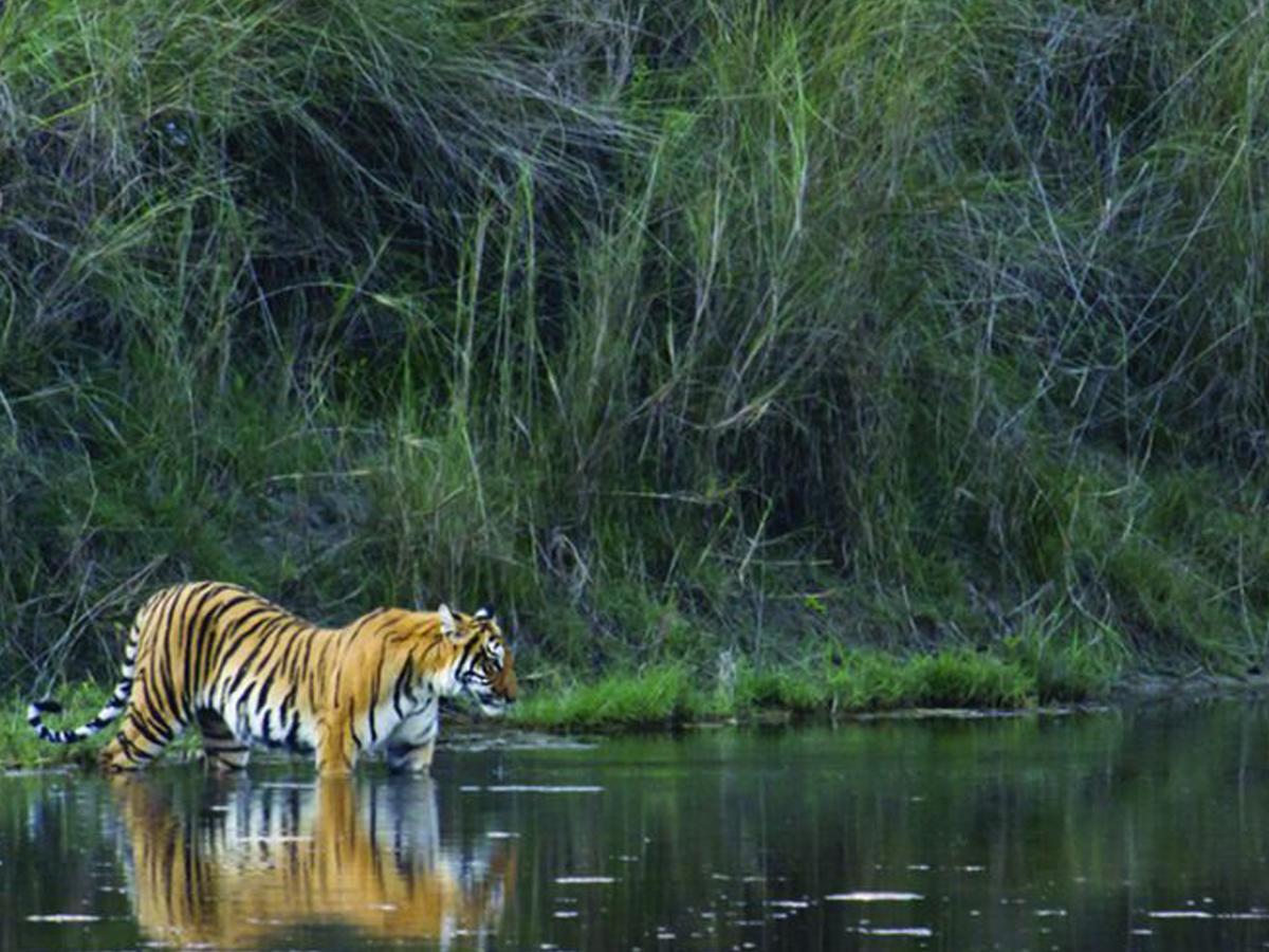 Corbett Treat Resort Ramnagar  Esterno foto