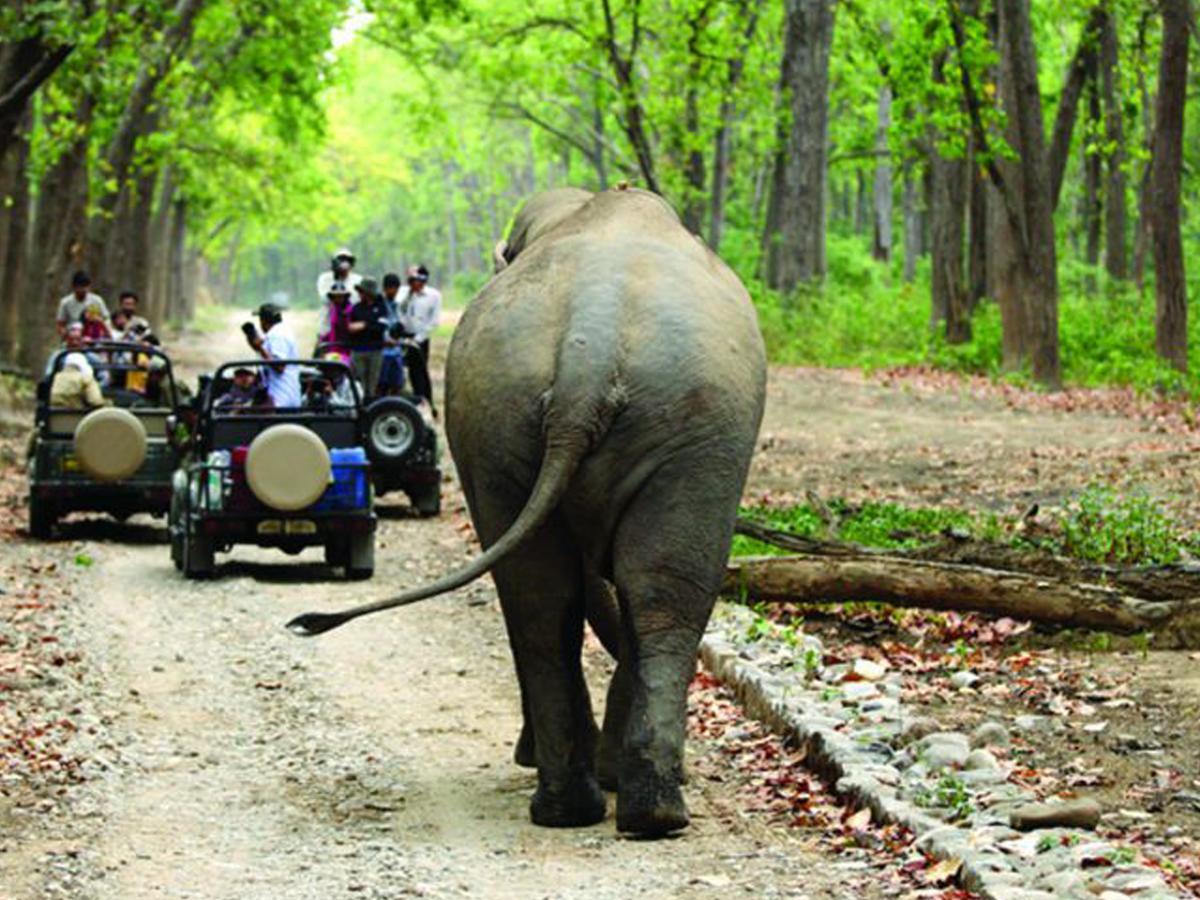 Corbett Treat Resort Ramnagar  Esterno foto